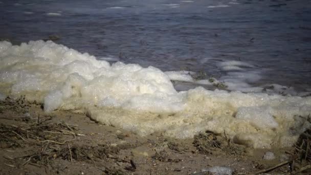 Smutsiga Skum Vattnet Och Seashore Övergödning Förorening Behållaren Ekologiska Problem — Stockvideo