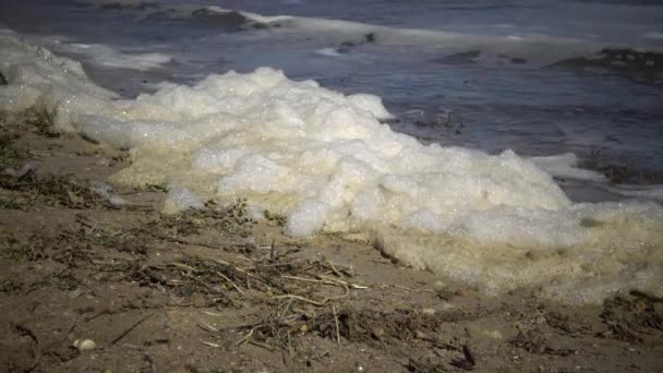 肮脏的泡沫在水和海岸 富营养化 水库的污染 生态学问题 黑海傲德萨海湾 — 图库视频影像