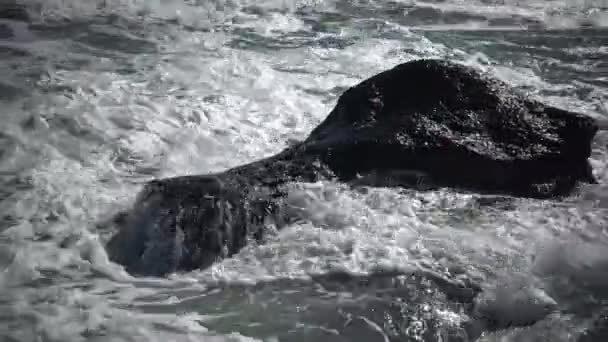 Сильна Буря Морі Хвилі Біла Піна Котиться Піщаному Пляжі — стокове відео