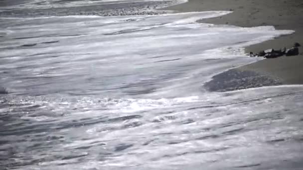 Uma Forte Tempestade Mar Ondas Espuma Branca Rolando Praia — Vídeo de Stock