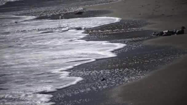 海上强风暴 海浪和白色泡沫在沙滩上翻滚 — 图库视频影像