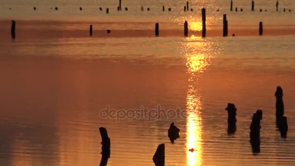 Puesta de sol roja sobre el estuario de Hadzhibey, reflejo en el agua de las nubes — Vídeos de Stock