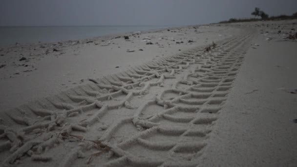 Sporen van een auto op een verlaten strand, Kinburn Spit — Stockvideo