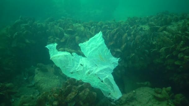 Plast Sopor Och Annat Skräp Som Flyter Vattnet Havsföroreningar Plast — Stockvideo