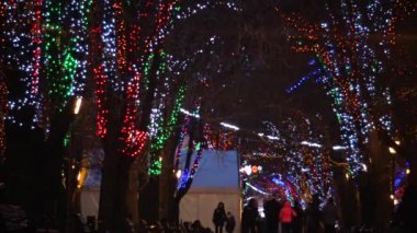 Ukrayna, Odessa - 29 Aralık 2017: Odessa Primorsky Bulvarı'nda gece Led aydınlatma