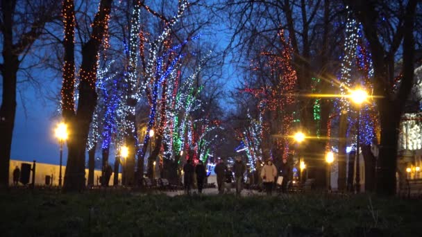Ukraine Odessa Décembre 2017 Éclairage Led Nocturne Sur Boulevard Primorsky — Video
