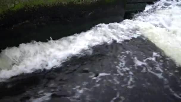 Vuil Water Stroomt Uit Pipe Een Natuurlijke Vijver Vervuiling Van — Stockvideo