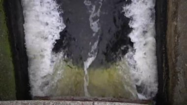 Kirli su borudan doğal bir su birikintisi içine akar. Çevre kirliliği. Kanalizasyon, arıtma tesisleri, kirli köpük, bakteri.