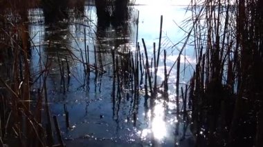Donmuş su üzerinde güneş, ince mavi buz üzerinde sallanan cob donmuş su, kamaşma