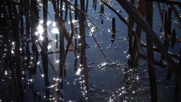 Éblouissement Soleil Sur Eau Gelée Fine Glace Bleue Sur Eau — Video