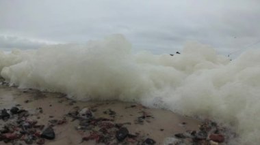 Deniz köpüğü Karadeniz'de, su kirliliği, bir fırtına sırasında Ötrofikasyon