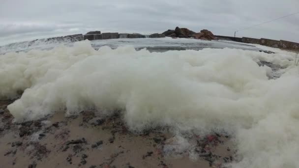 海泡沫在风暴期间在黑海 水污染 富营养化 — 图库视频影像