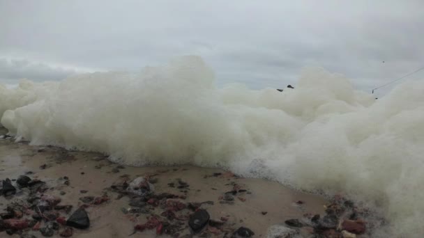 Deniz Köpüğü Karadeniz Kirliliği Bir Fırtına Sırasında Ötrofikasyon — Stok video