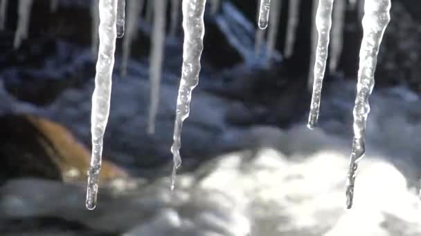 Gefrorenes Wasser Eiszapfen Vor Dem Hintergrund Des Sich Bewegenden Meerwassers — Stockvideo