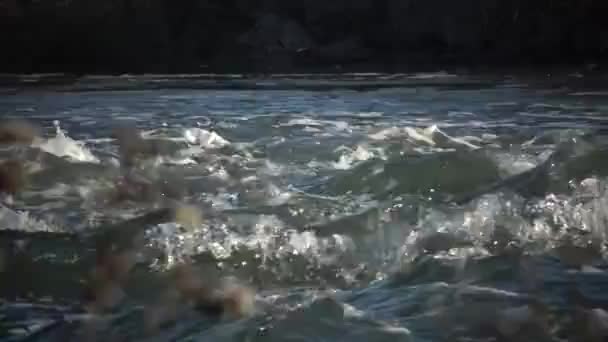 Arroyo Agua Cayendo Por Fondo Ecología Flujo Agua Dulce Limpia — Vídeo de stock