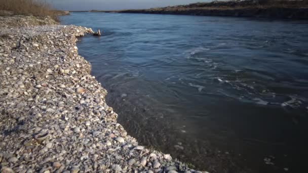 Het Water Gewassen Oever Snelle Stroom Schelpen Oever — Stockvideo