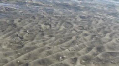 Karadeniz'de kıyıya yakın deniz yatağı. Güneş ışınları üzerine sığ kumlu deniz yatağına dalgalanan ile sea.abstract arka plan altındaki kum dalgaları