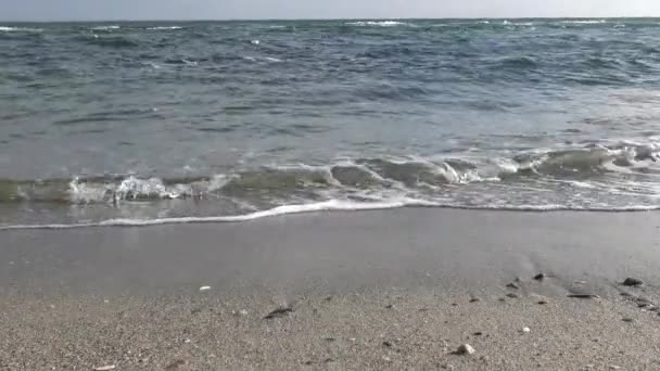 Fondali Marini Nel Mar Nero Vicino Alla Riva Onde Sabbia — Video Stock