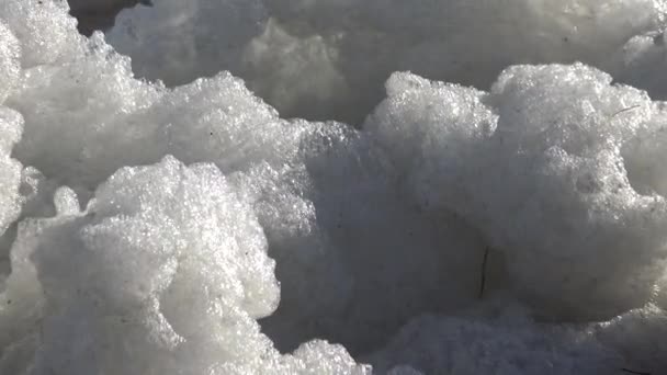 Vuil Schuim Het Water Kust Eutrofiëring Vervuiling Van Het Reservoir — Stockvideo