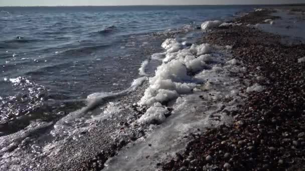 Smutsigt Skum Vatten Och Till Havs Övergödning Förorening Dammen Ekologiskt — Stockvideo