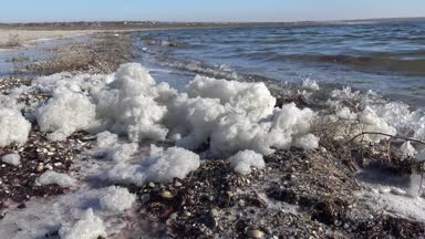 Suda ve deniz kıyısında kirli köpük, ötrofikasyon, rezervuarın kirlenmesi, ekolojik sorun