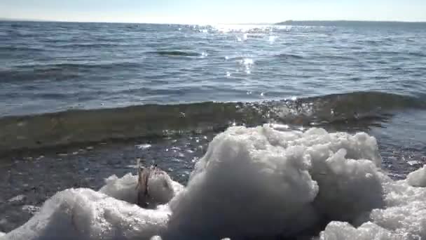 Schmutziger Schaum Auf Dem Wasser Und Der Küste Eutrophierung Verschmutzung — Stockvideo