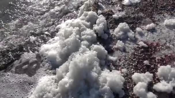 Dirty Foam Water Seashore Eutrophication Pollution Reservoir Ecological Problem — Stock Video