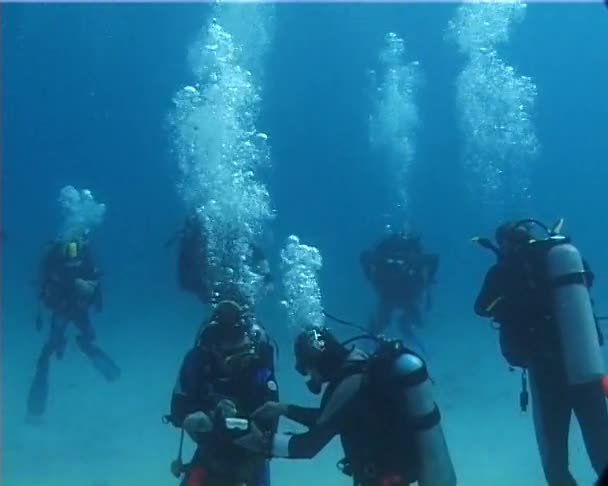 Plongeurs Eau Claire Bleue Près Récif Corallien Dans Mer Rouge — Video