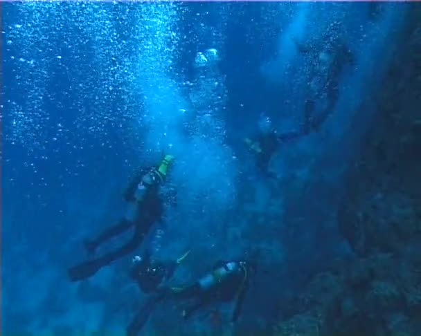 Mergulhadores Água Azul Clara Perto Recife Coral Mar Vermelho — Vídeo de Stock