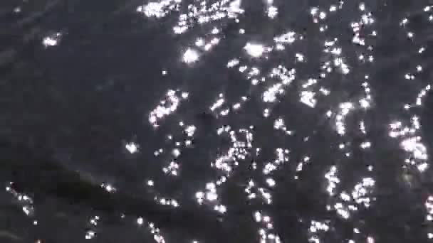 Хвилі Відблисків Воду Тлі Сонячних Променів Красиві Берега Чорного Моря — стокове відео