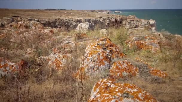 Šedá kámen vztahuje lišejník. Stone pobřeží, lišejníky na kamenech poblíž vesnice Tyulenovo, Bulharsko