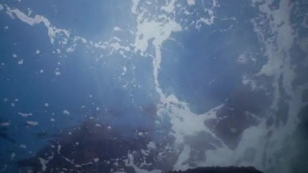 泡の海の表面は ボトムアップの写真 — ストック動画