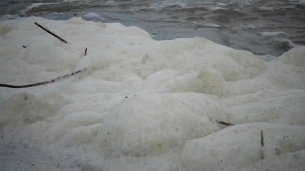 Пена Поверхности Воды Берегу Водохранилища Загрязнение Водохранилища Экологическая Проблема Эвтрофикация — стоковое видео