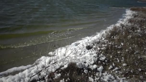Foam Surface Water Shore Reservoir Contamination Reservoir Environmental Problem Eutrophication — Stock Video