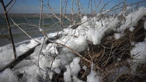 泡の水の表面に 貯水池のほとり 貯水池 環境問題 富栄養化汚染 — ストック動画