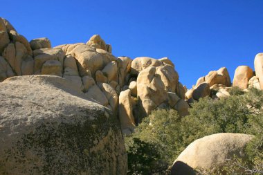 Kayalar ve Joshua ağaçlar Joshua Tree National Park, California'dan içinde