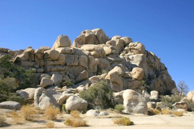 Kayalar ve Joshua ağaçlar Joshua Tree National Park, California'dan içinde