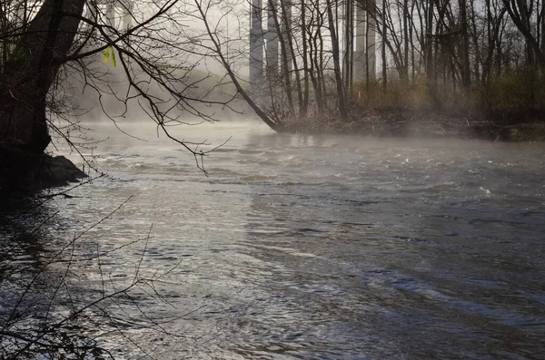 オハイオ州の寒い早朝に森の中の川の上の霧アメリカ — ストック写真