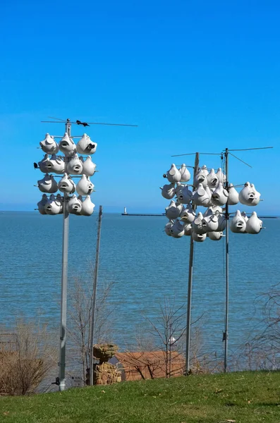 Nidos Para Pájaros Lorain Harbor Ohio — Foto de Stock