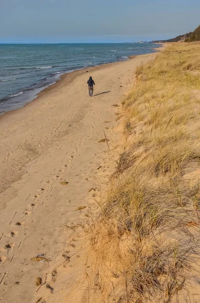 Sand dunes near the shore of a large lake, a tourist with ski patches walks along the shore