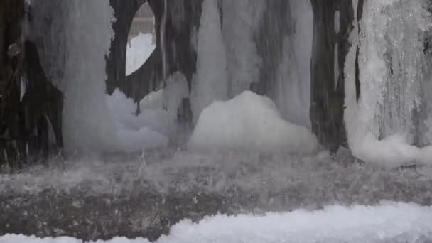 Princeton Estados Unidos Noviembre 2019 Princeton Fountain Donde Agua Congeló — Vídeo de stock