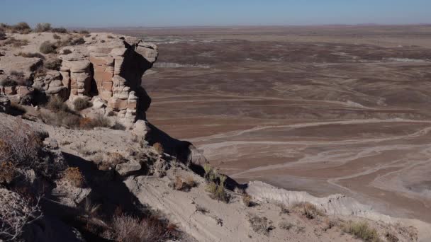 Desierto Pintado Día Soleado Diversas Rocas Sedimentarias Arcilla Lavadas Por — Vídeo de stock