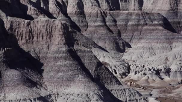 在一个阳光灿烂的日子里 粉刷过的沙漠 不同的沉积岩和粘土被水冲刷掉了 美国亚利桑那州石化森林国家公园 — 图库视频影像