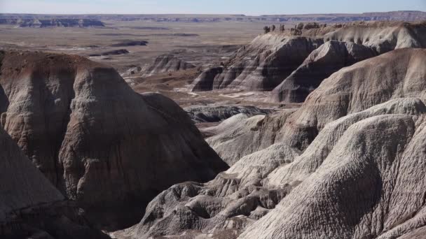 Desierto Pintado Día Soleado Diversas Rocas Sedimentarias Arcilla Lavadas Por — Vídeo de stock