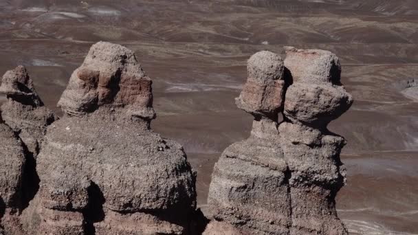 在一个阳光灿烂的日子里 粉刷过的沙漠 阳光灿烂的日子里 在一个五彩斑斓的山谷的背景下 石头的形状被水模糊了 亚利桑那州乌萨市石化森林国家公园 — 图库视频影像