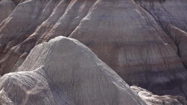 晴れた日には絵に描いた砂漠 多色粘土の山を背景にした写真家 ペトリファイドフォレスト国立公園 アメリカ アリゾナ州 — ストック動画