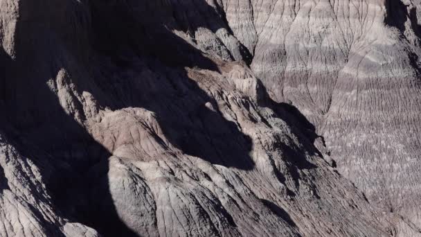 晴れた日には絵に描いた砂漠 多色粘土の山を背景にした写真家 ペトリファイドフォレスト国立公園 アメリカ アリゾナ州 — ストック動画