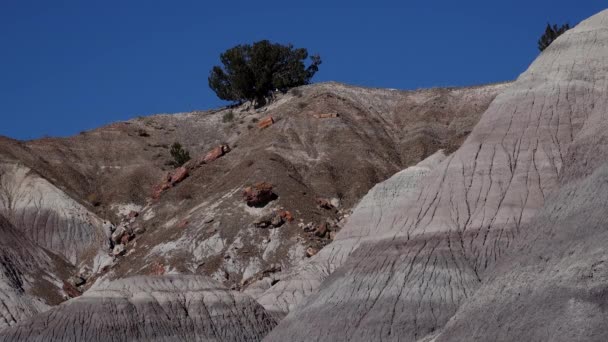 Desierto Pintado Día Soleado Fotógrafo Sobre Fondo Montañas Barro Multicolor — Vídeo de stock