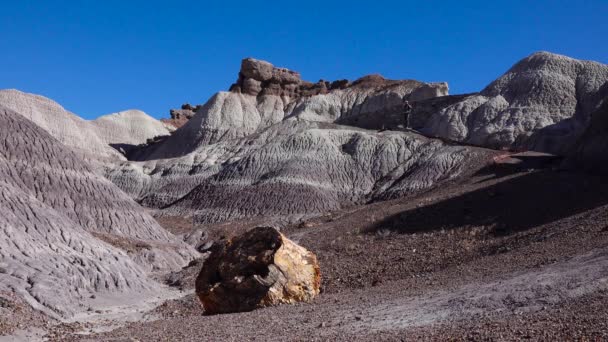 Usa Arizona Noviembre 2019 Desierto Pintado Día Soleado Fotógrafo Sobre — Vídeo de stock