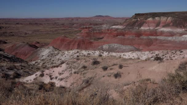 アリゾナ山は地形を侵食し 国有林の荒野と塗装砂漠を切り開いた — ストック動画